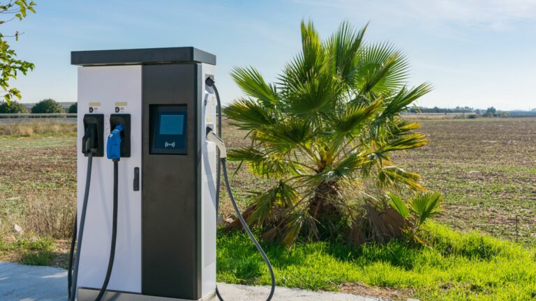 Borne de recharge en France : atteindre la barre des 100 000 bornes d’ici la fin 2023 ?