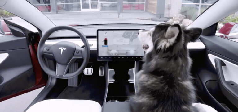 Mode Chien de Tesla : une innovation pour la sécurité et le bien-être de nos animaux de compagnie dans nos véhicules