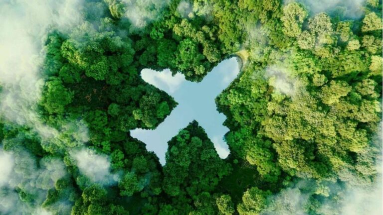 estrategia combustible sustentable aviación