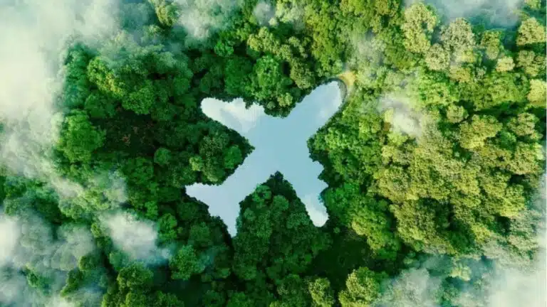 estrategia combustible sustentable aviación